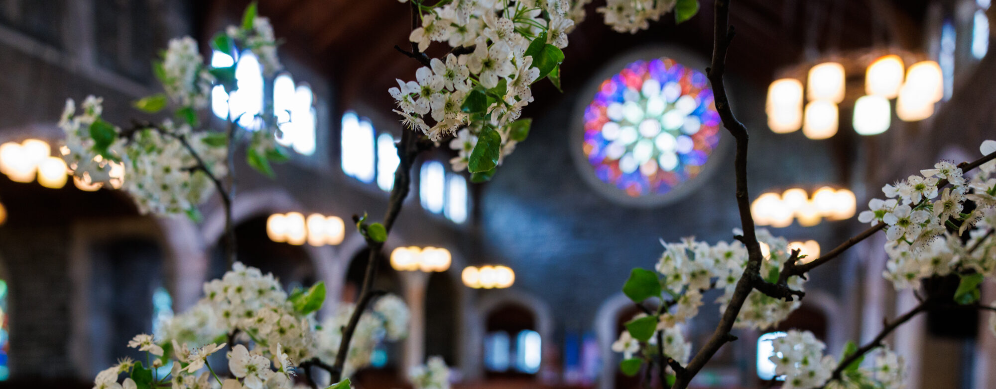 Church of the Redeemer Window and Cherry Blossoms